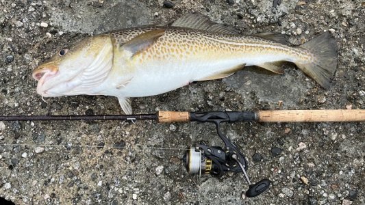 IMG_9573.jpeg IMG_9573.jpeg