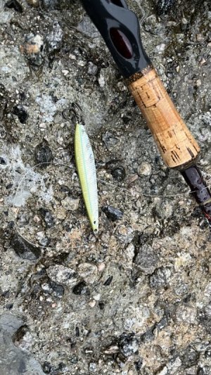 IMG_9579.jpeg IMG_9579.jpeg