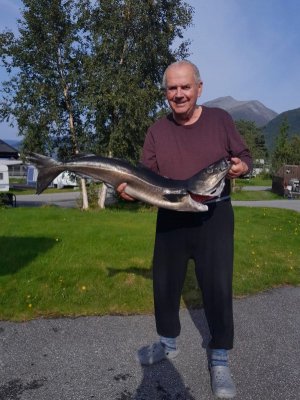 IMG-20240120-WA0000.jpg IMG-20240120-WA0000.jpg