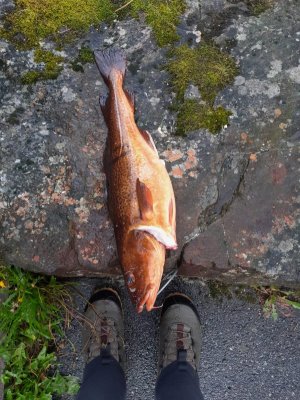 IMG-20240120-WA0003.jpg IMG-20240120-WA0003.jpg