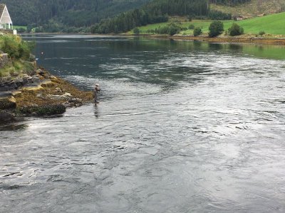 IMG-20240120-WA0012.jpg IMG-20240120-WA0012.jpg