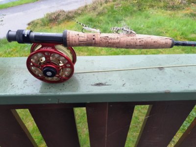 IMG-20240120-WA0001.jpg IMG-20240120-WA0001.jpg