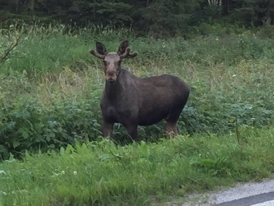 IMG_1310.JPG IMG_1310.JPG