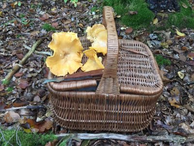 IMG_0903.JPG IMG_0903.JPG