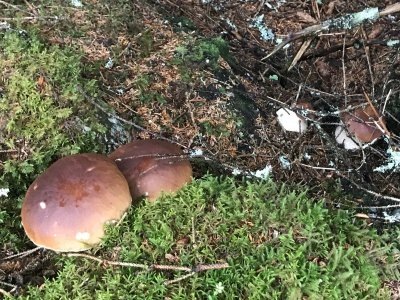 IMG_0373.JPG IMG_0373.JPG