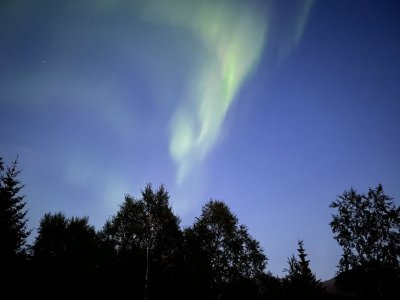 IMG_4389.JPG IMG_4389.JPG