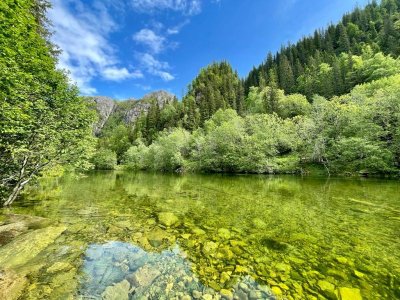 941bc8b9-bfca-45be-8615-e40fe7ff4521.JPG 941bc8b9-bfca-45be-8615-e40fe7ff4521.JPG