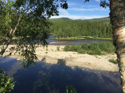 IMG_1315.JPG IMG_1315.JPG