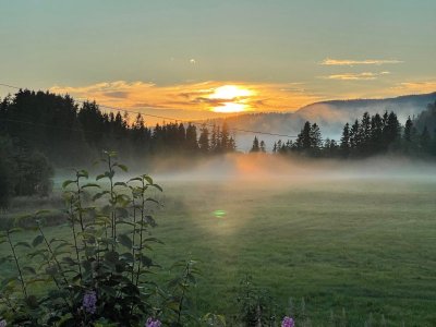 IMG_2251.jpg IMG_2251.jpg