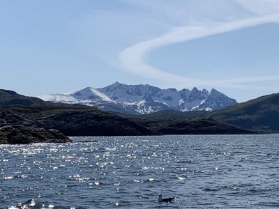 IMG_6485.jpeg IMG_6485.jpeg