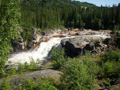 DSCI1268.JPG DSCI1268.JPG