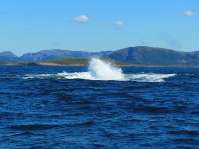 DSCN3049.JPG DSCN3049.JPG