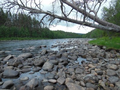 DSCN5230.JPG DSCN5230.JPG