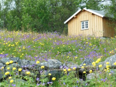 DSCN5409.JPG DSCN5409.JPG