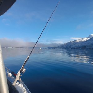 IMG-20231007-WA0012.jpg IMG-20231007-WA0012.jpg