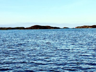 IMG_5734.jpeg IMG_5734.jpeg