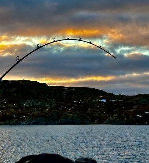 IMG_5730.jpeg IMG_5730.jpeg