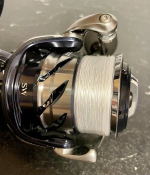 IMG_4699.jpeg IMG_4699.jpeg