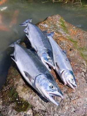 PHOTO-2023-12-09-08-47-15 3.jpg