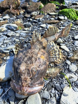 PHOTO-2023-12-09-08-51-01 4.jpg