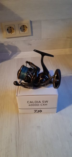 20240216_173820.jpg 20240216_173820.jpg