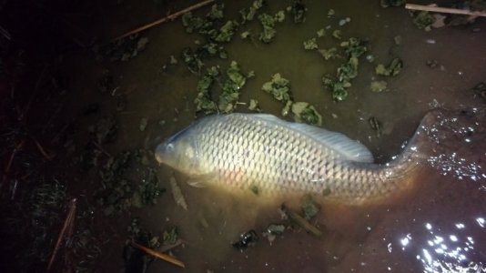 DSC01649.JPG DSC01649.JPG