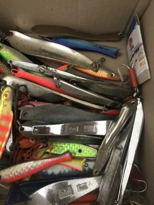 CD0FD957-C99B-4A54-A700-868024600AE2.jpeg CD0FD957-C99B-4A54-A700-868024600AE2.jpeg