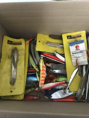 E615957C-2EE1-4890-82E9-9B390E3F847C.jpeg E615957C-2EE1-4890-82E9-9B390E3F847C.jpeg