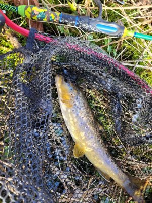 1000003207.jpg 1000003207.jpg