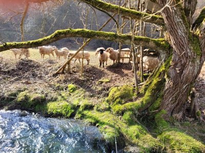 1000003205.jpg 1000003205.jpg