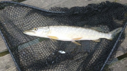 DSC_0855.JPG DSC_0855.JPG