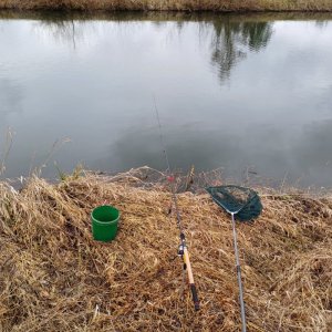 20240301_142621.jpg 20240301_142621.jpg