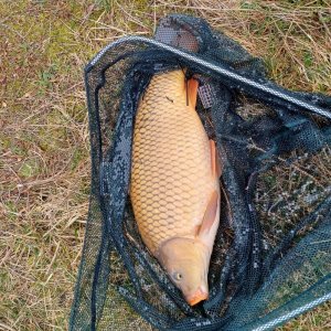 20240301_145815.jpg 20240301_145815.jpg