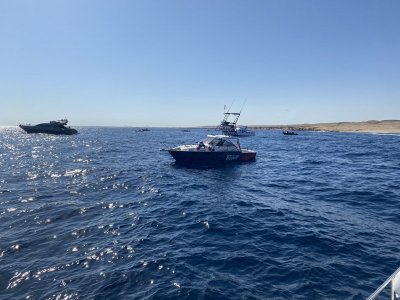 IMG_7741.jpeg IMG_7741.jpeg