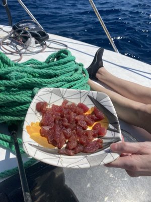 IMG_7767.jpeg IMG_7767.jpeg