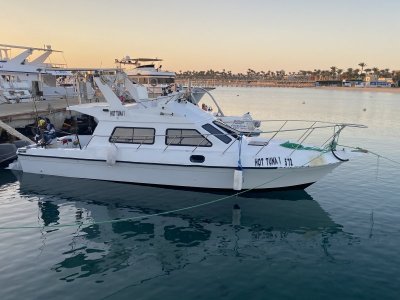 IMG_7729.jpeg IMG_7729.jpeg