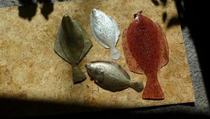 P1020908.jpg P1020908.jpg