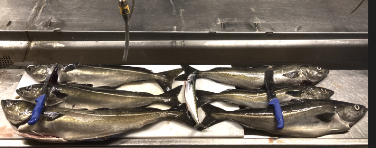 Bildschirm­foto 2024-03-09 um 21.00.15.png