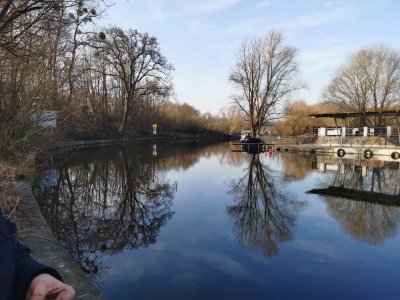 IMG-20240310-WA0003.jpg IMG-20240310-WA0003.jpg