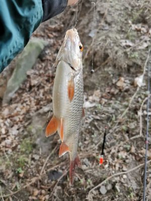 IMG-20240310-WA0002.jpg IMG-20240310-WA0002.jpg