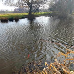 IMG_20240310_145106_762.jpg IMG_20240310_145106_762.jpg