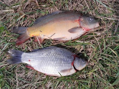 20240310_130725.jpg 20240310_130725.jpg