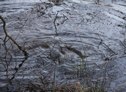 IMG_2156.JPG IMG_2156.JPG