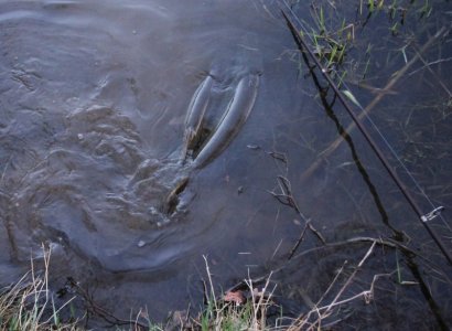 IMG_2189.JPG IMG_2189.JPG