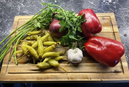 IMG_8864.jpeg IMG_8864.jpeg