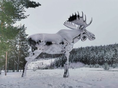 IMG_20240316_075717-01.jpeg IMG_20240316_075717-01.jpeg