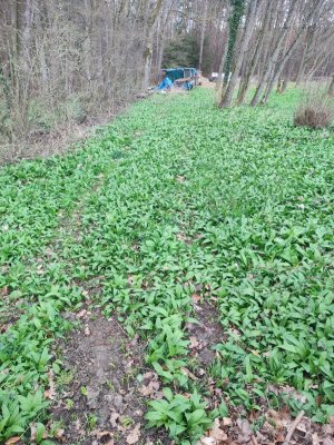 IMG_20240316_132210.jpg IMG_20240316_132210.jpg