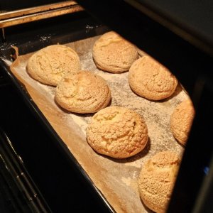 20240316_112858.jpg 20240316_112858.jpg