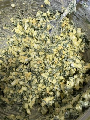 IMG_0525.jpeg IMG_0525.jpeg