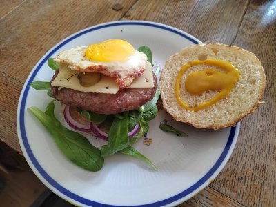 IMG_20240317_133228.jpg IMG_20240317_133228.jpg